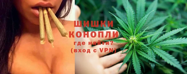 spice Верхний Тагил