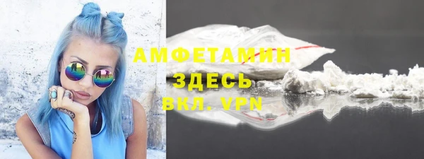 индика Верея
