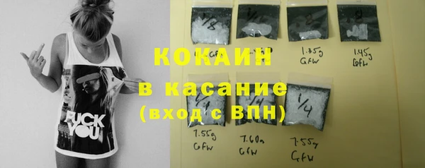 индика Верея