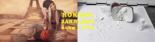 индика Верея