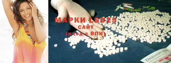 индика Верея