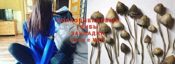 spice Верхний Тагил