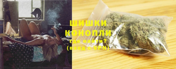индика Верея